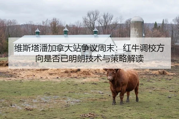 维斯塔潘加拿大站争议周末：红牛调校方向是否已明朗技术与策略解读